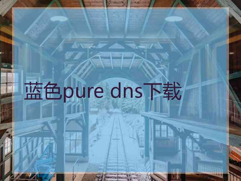 蓝色pure dns下载