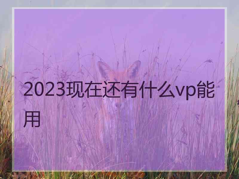 2023现在还有什么vp能用