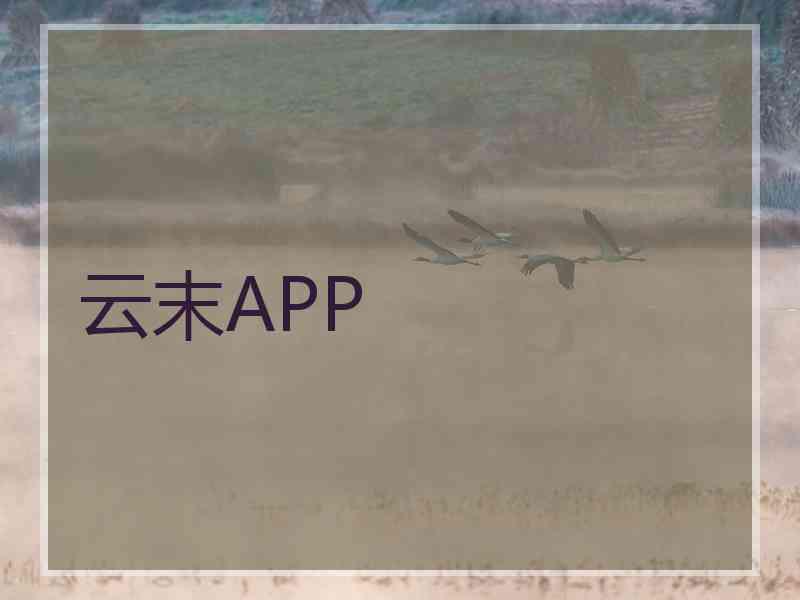 云末APP