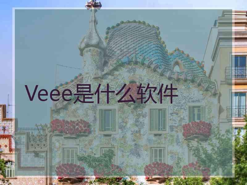 Veee是什么软件