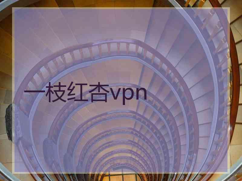 一枝红杏vpn