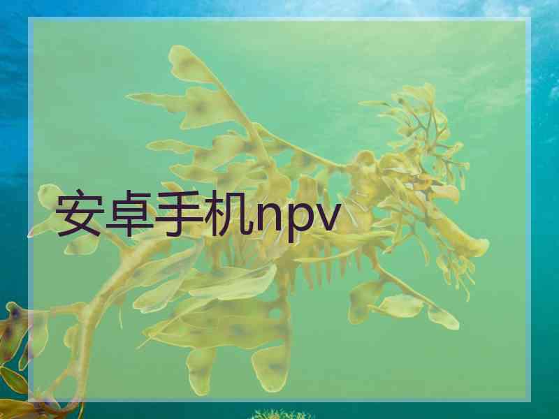 安卓手机npv