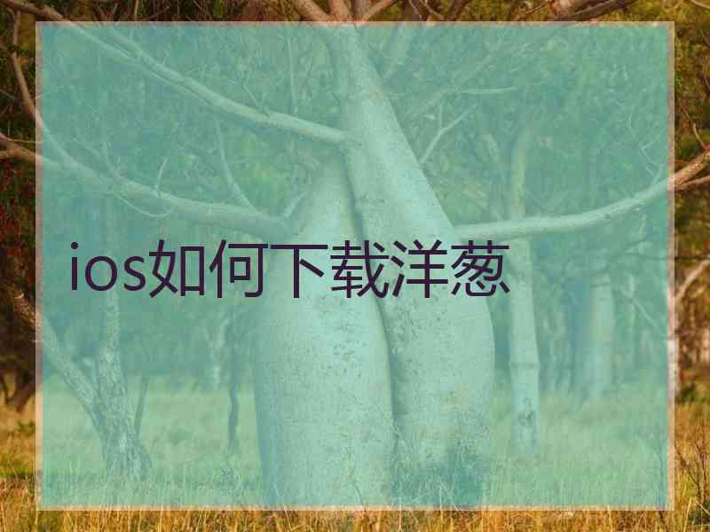 ios如何下载洋葱