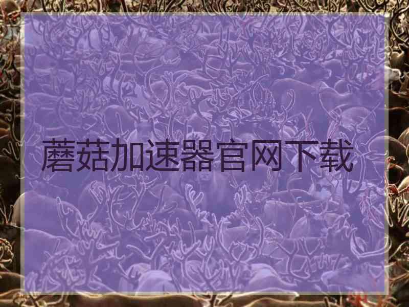 蘑菇加速器官网下载