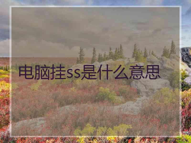 电脑挂ss是什么意思