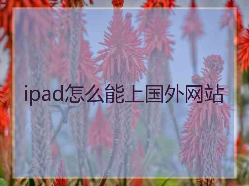 ipad怎么能上国外网站