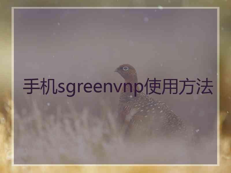 手机sgreenvnp使用方法