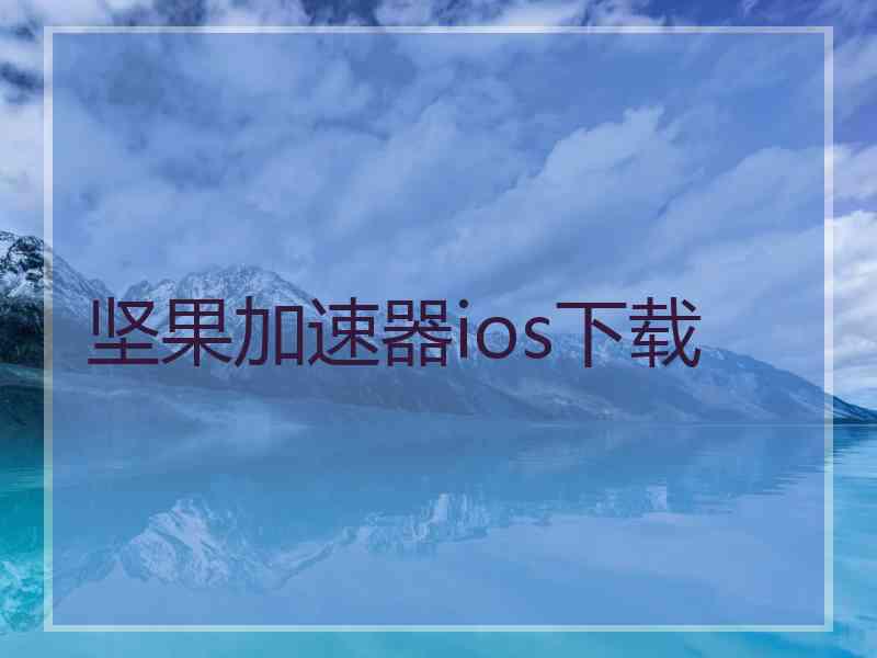 坚果加速器ios下载