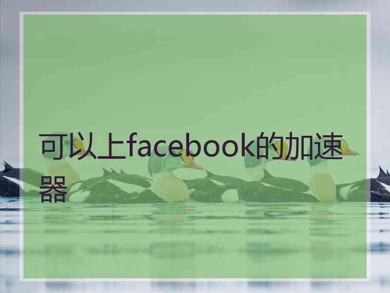 可以上facebook的加速器