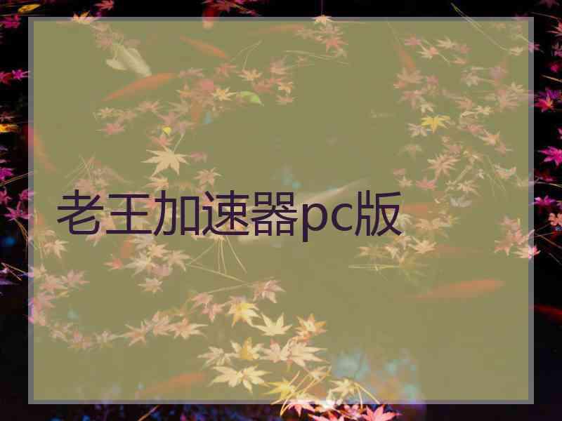 老王加速器pc版