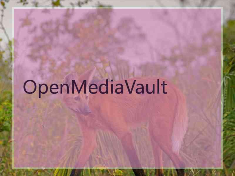 OpenMediaVault