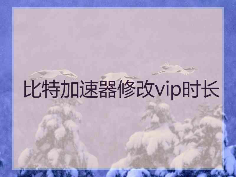 比特加速器修改vip时长