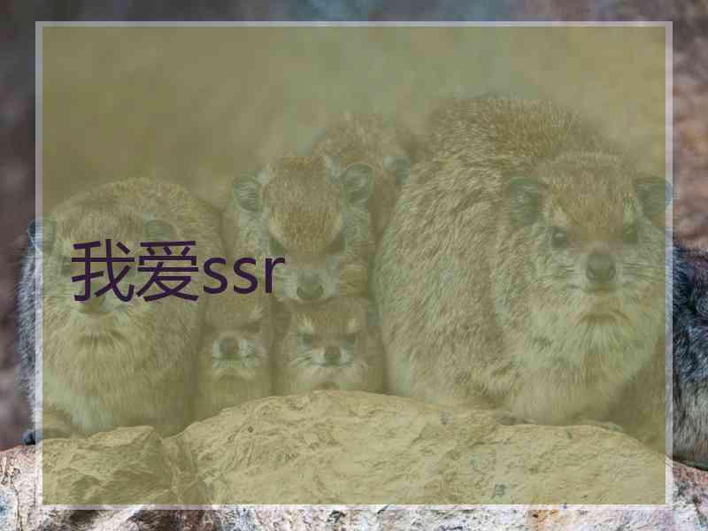 我爱ssr